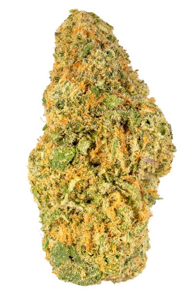 Shangri-La - Hybrid Cannabis Strain