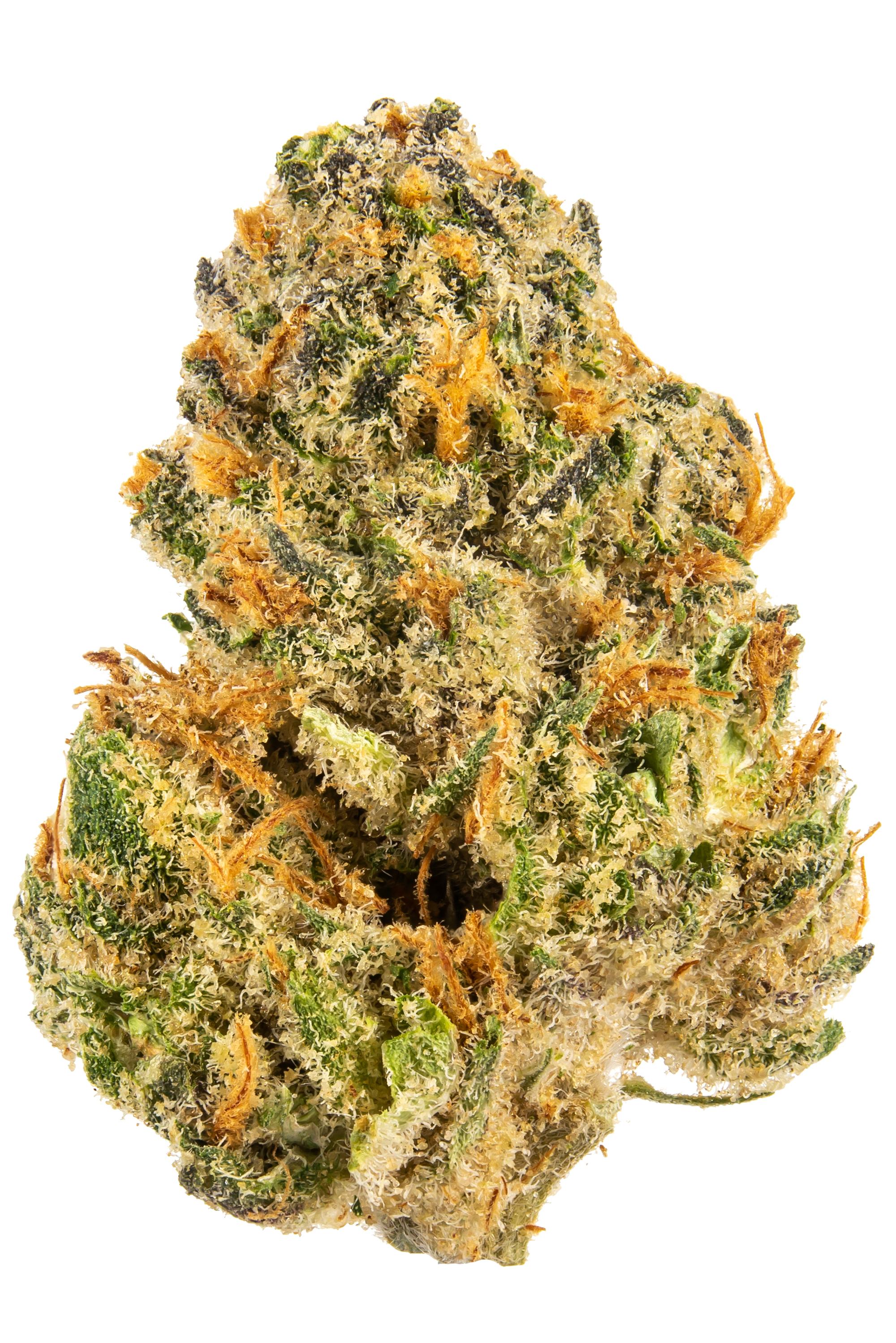 Sherb Strain - Hybrid Cannabis Review, THC, Terpenes : Hytiva
