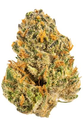 Sherb - Híbrida Cannabis Strain