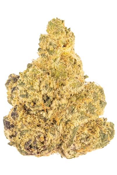 Sherb Crasher - Híbrida Cannabis Strain