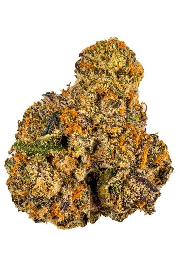 Sherbacio - Hybrid Cannabis Strain