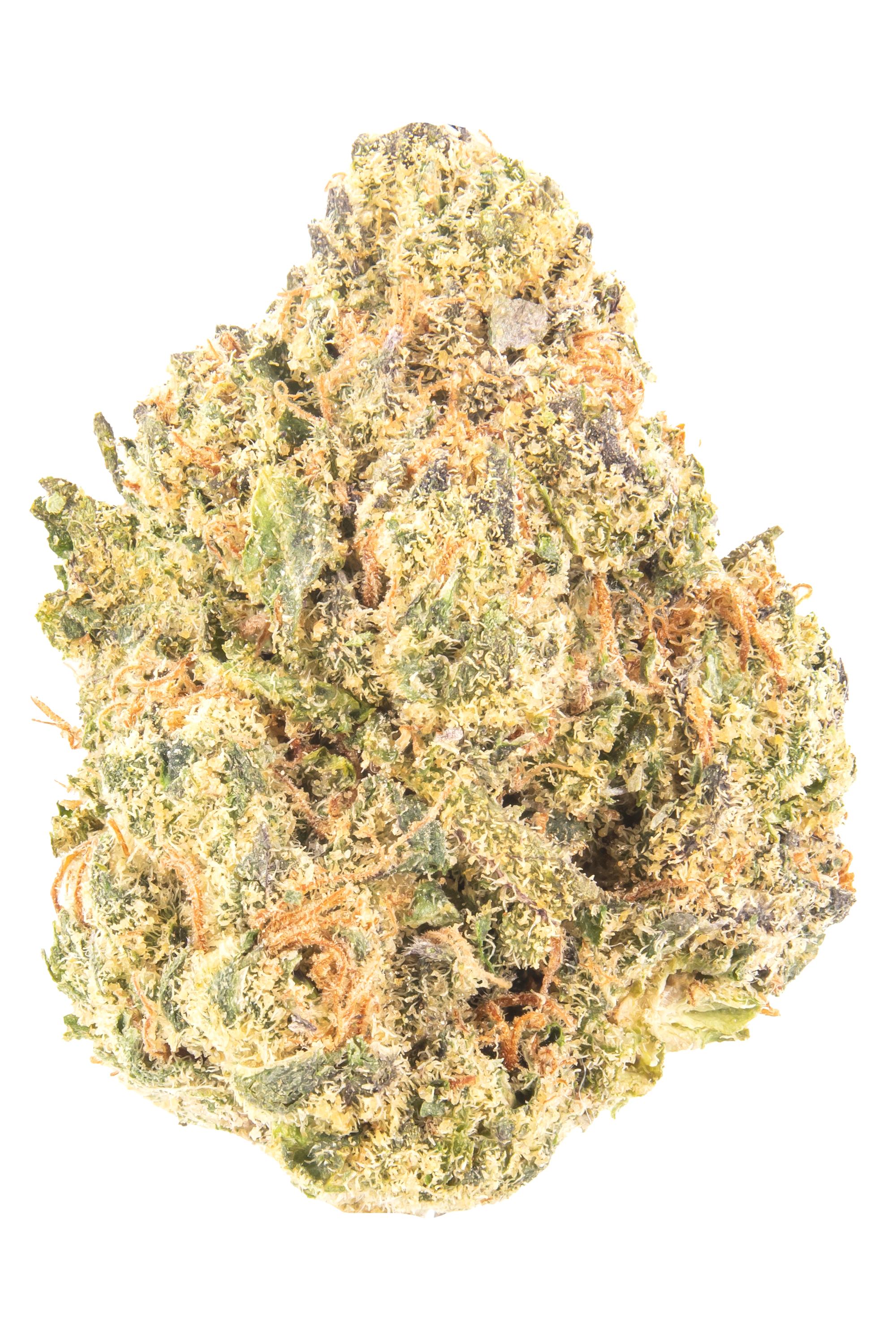 Sherblato - Hybrid Cannabis Strain