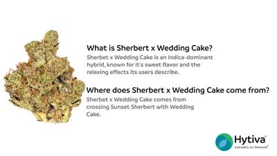 Sherbert x Wedding Cake - Hybrid Strain