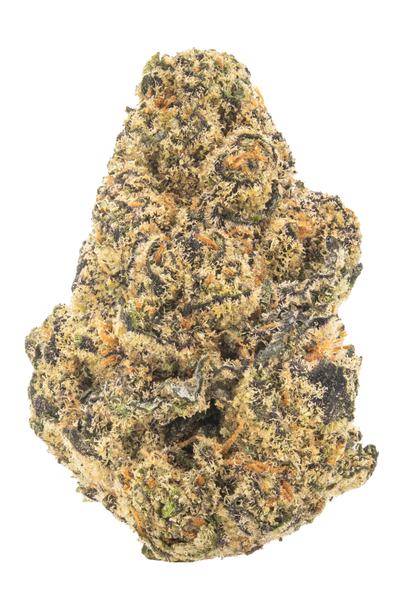Sherbhead - Hybrid Cannabis Strain
