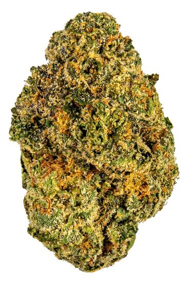 Sherblato - Hybrid Cannabis Strain