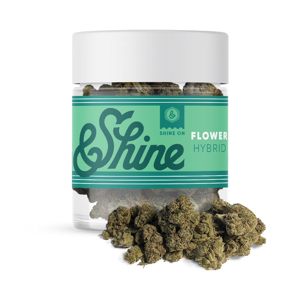 Hybrid Flower Product Image