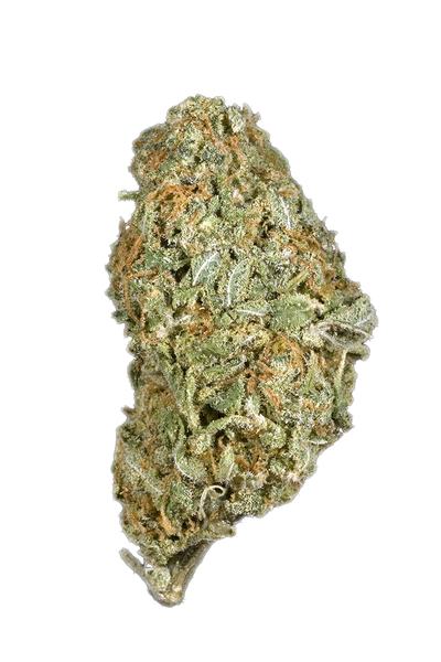 Shipwreck - Sativa Cannabis Strain