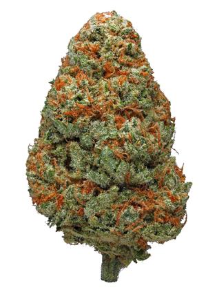 Shire - Hybrid Cannabis Strain