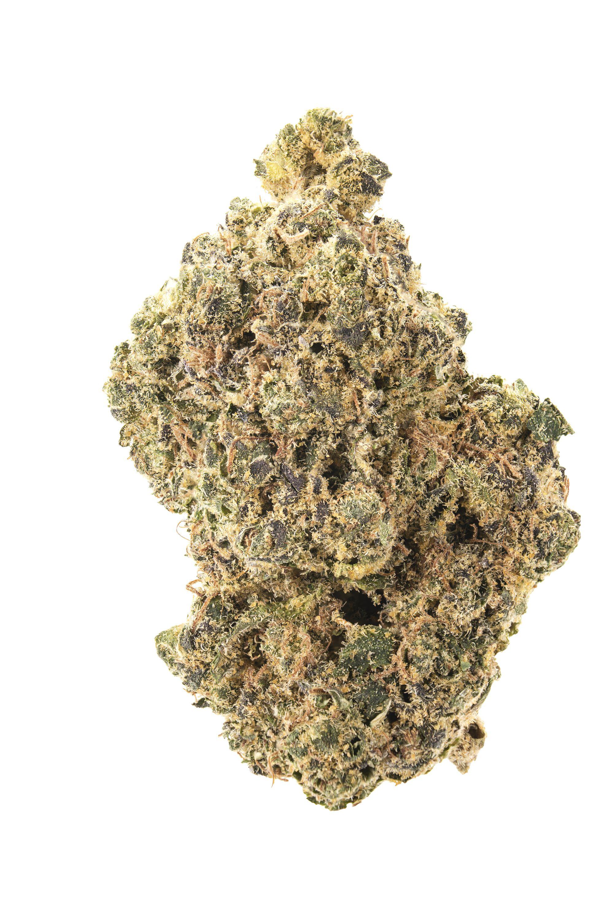 Shot Caller Cannabis Strain Bud