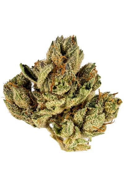 Sierra OG - 混合物 Cannabis Strain