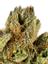 Sierra OG Hybrid Cannabis Strain Thumbnail