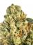 Silky Smooth OG Hybrid Cannabis Strain Thumbnail