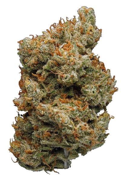 Silver Bubble - Hybrid Cannabis Strain