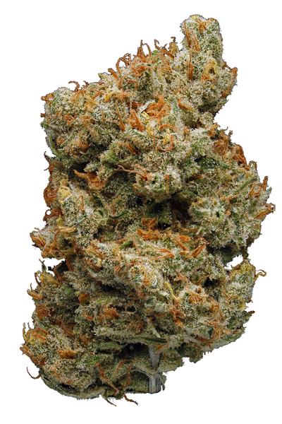 Silver Bubble - Híbrida Cannabis Strain