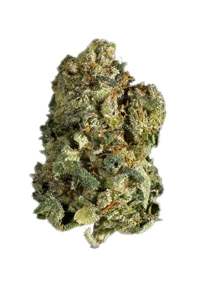 Silver Haze - Hybrid Cannabis Strain