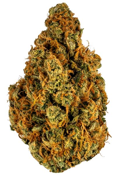 Silver Mountain - Hybrid Cannabis Strain