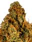 Silver Mountain Hybrid Cannabis Strain Thumbnail