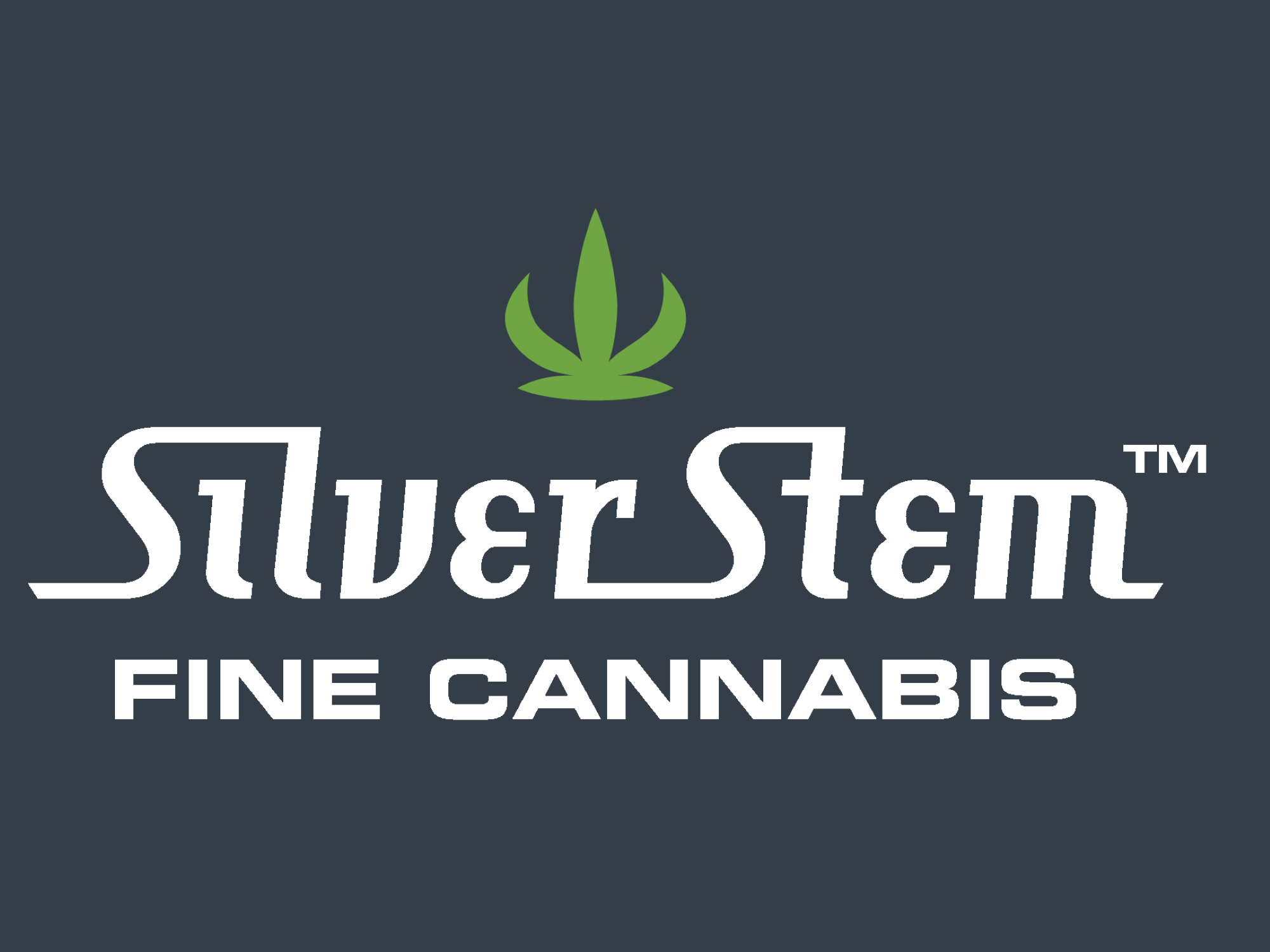 Silver Stem Fine Cannabis - Colorado Springs - Logo