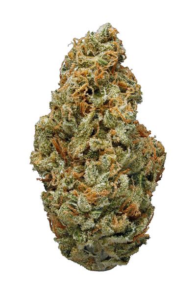 Silver Surfer - Hybrid Cannabis Strain