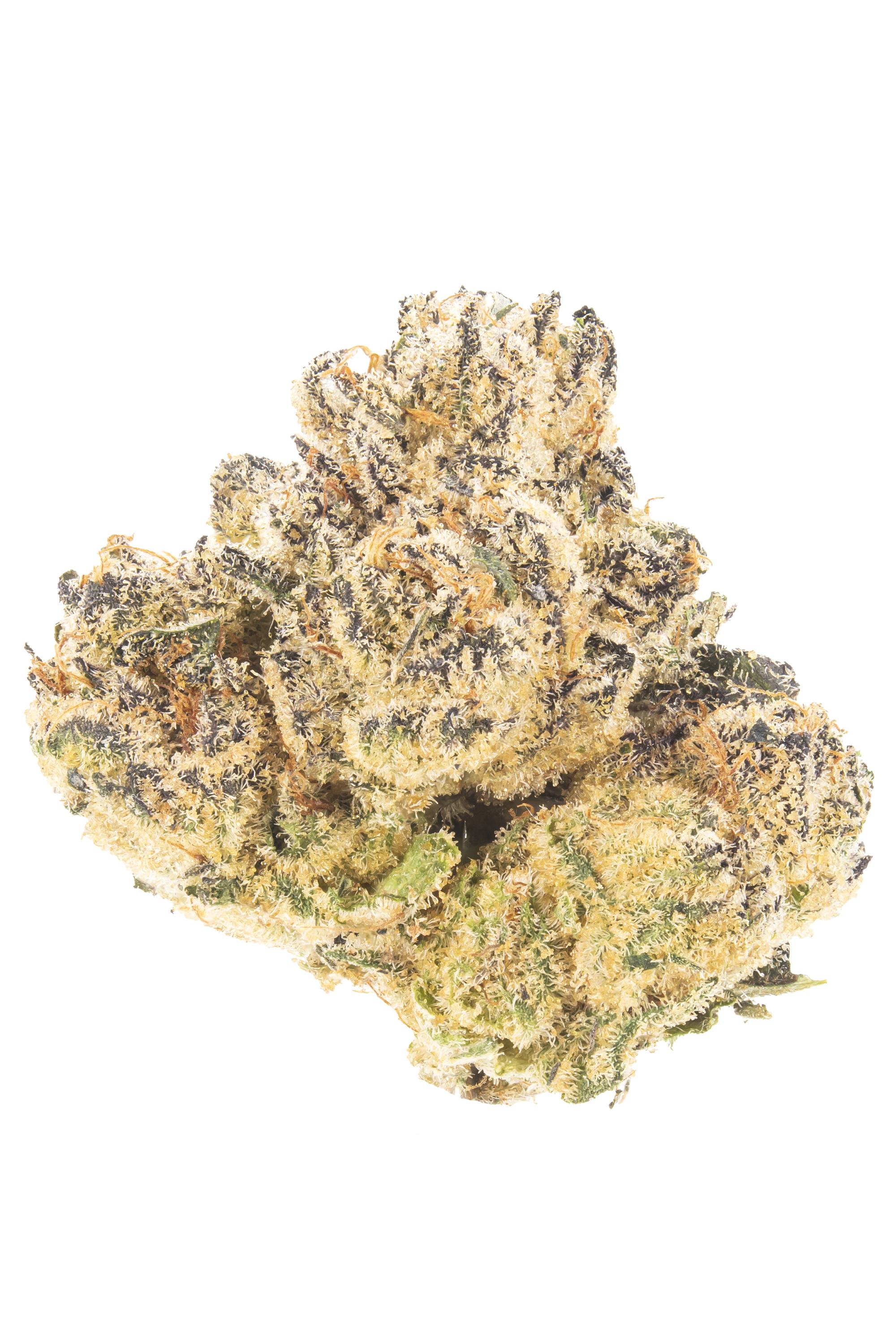Sin Mint Cookies - Hybrid Cannabis Strain