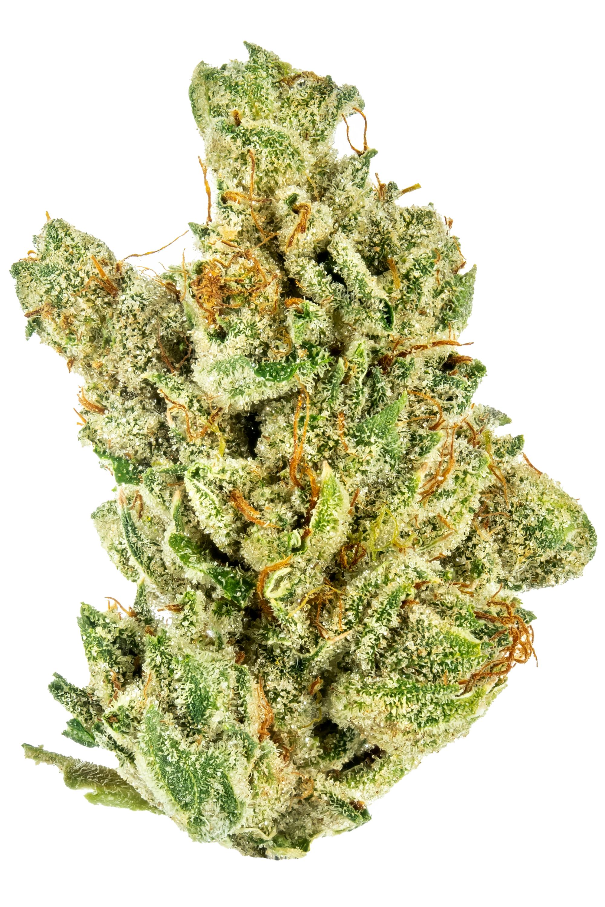 Sin Valley OG - Hybrid Cannabis Strain