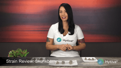 Skunkberry - Hybrid Strain