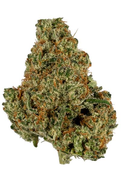 Skunkberry - 混合物 Cannabis Strain