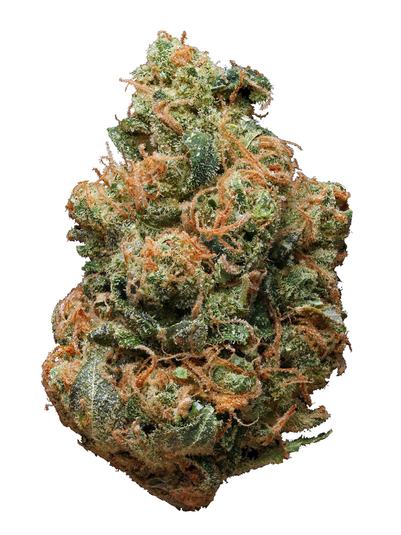 Skunky Diesel - Híbrida Cannabis Strain