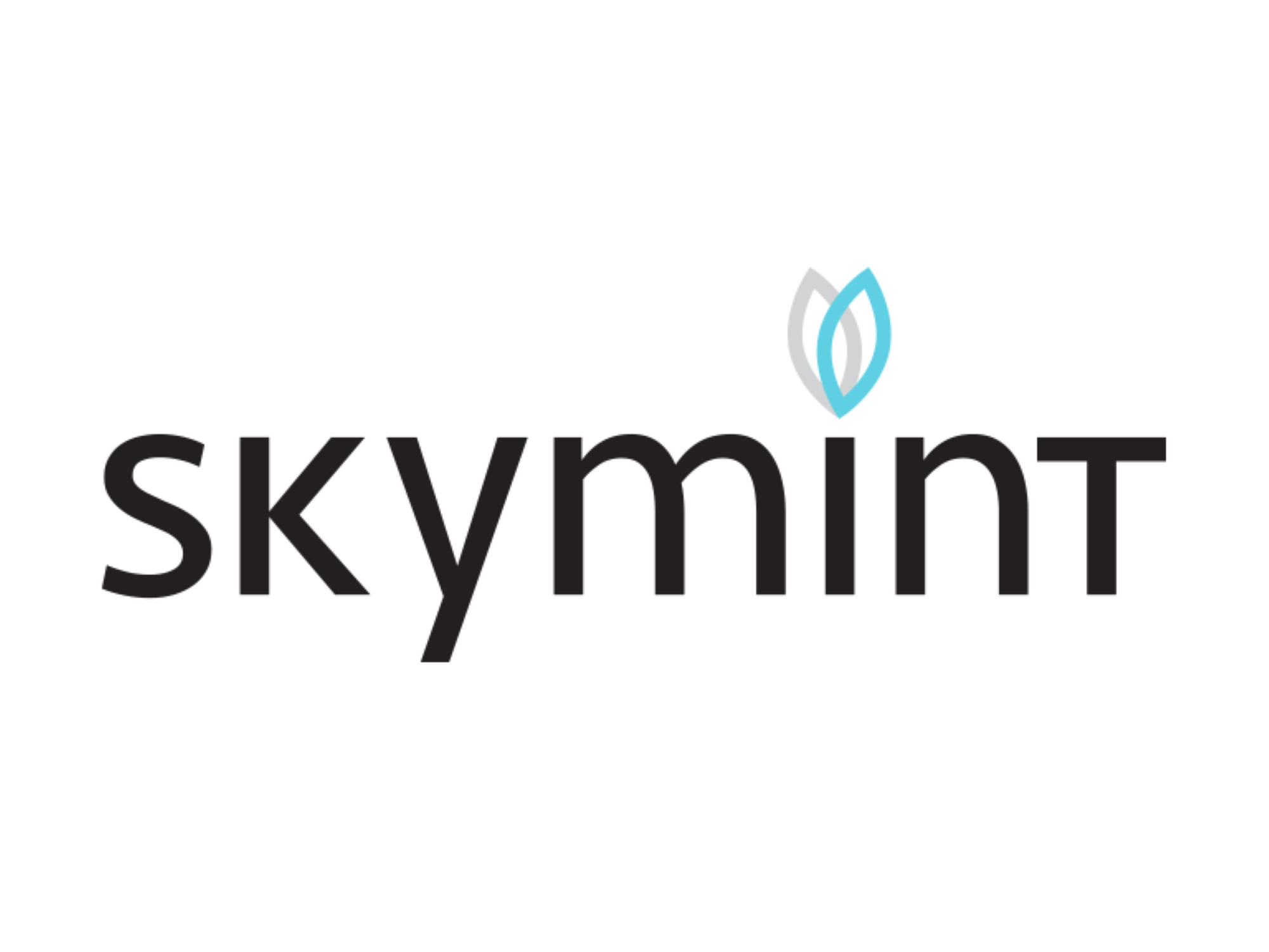 Skymint - White Cloud - Logo