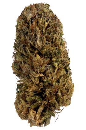Skywalker OG - Hybrid Cannabis Strain