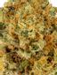 SLHOAMAC Hybrid Cannabis Strain Thumbnail