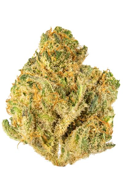 Slimer OG - Hybride Cannabis Strain