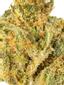 Slimer OG Hybrid Cannabis Strain Thumbnail