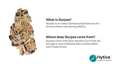 Slurpee - Hybrid Strain