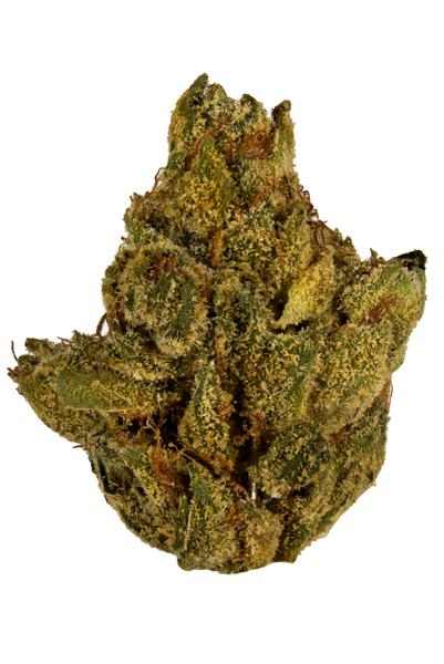 SLV OG - Indica Cannabis Strain