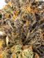 Smooth Funk Hybrid Cannabis Strain Thumbnail