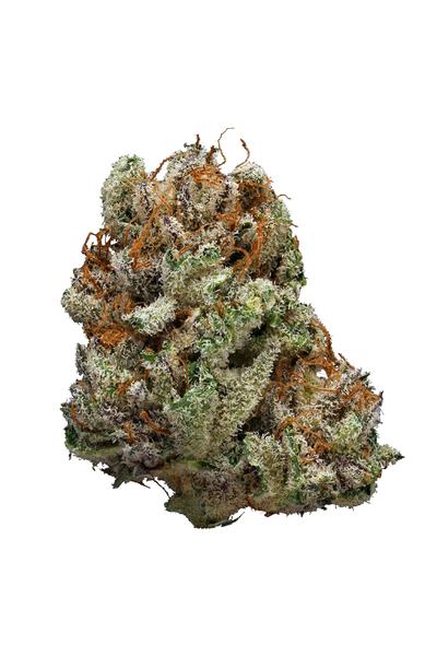 Snow Leopard - Hybrid Cannabis Strain