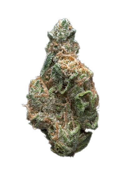 Snow Lotus - Hybrid Cannabis Strain