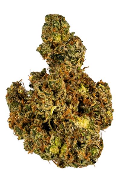 Snowball - Hybride Cannabis Strain
