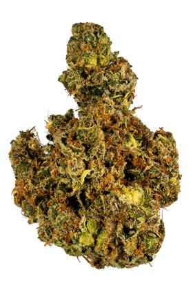 Snowball - Hybrid Cannabis Strain