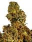 Snowball Hybrid Cannabis Strain Thumbnail