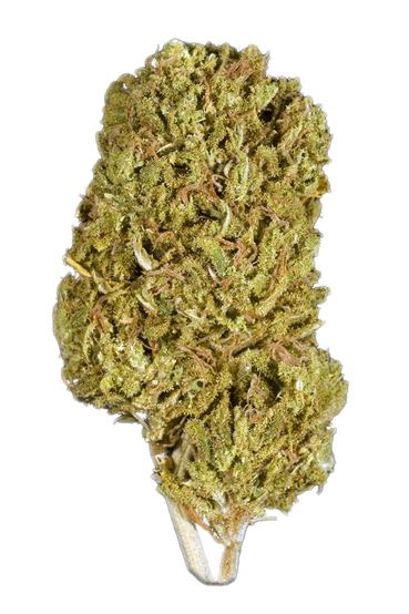 Snowland - Hybrid Cannabis Strain