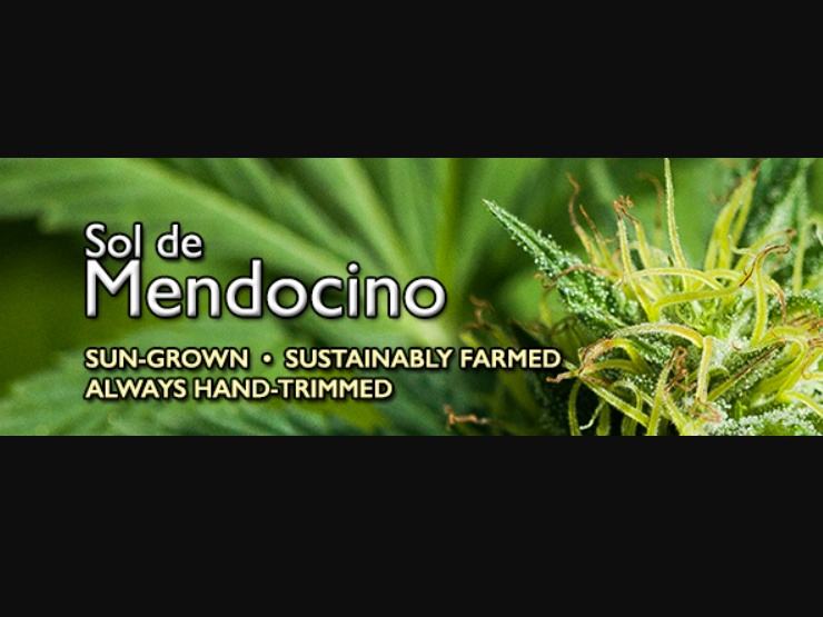 Sol de Mendocino - Logo