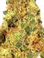Sonny G Hybrid Cannabis Strain Thumbnail