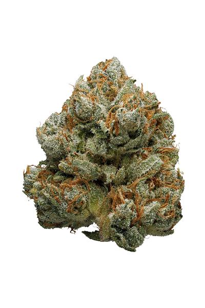 Soul Assassin - Híbrida Cannabis Strain