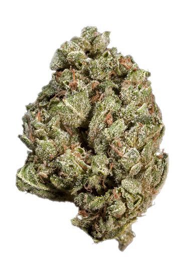 Sour Alien - Hybrid Cannabis Strain