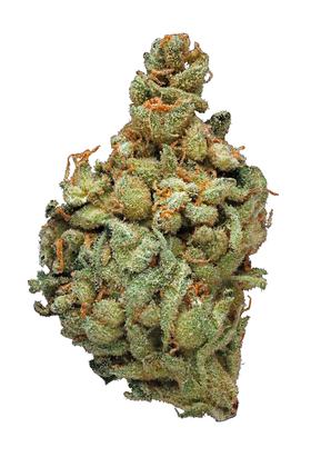 Sour Amnesia - Hybrid Cannabis Strain
