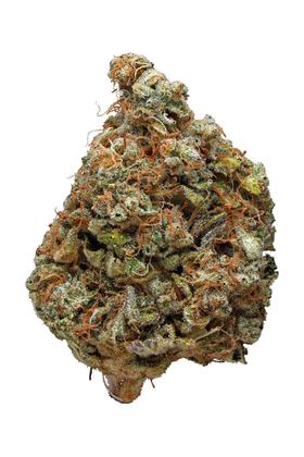 Sour Apple - Híbrida Cannabis Strain