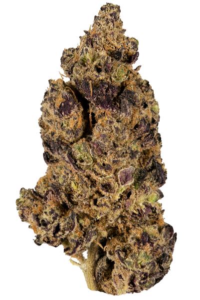 Sour Banana Sherbert - Гибрид Каннабис сұрыпы