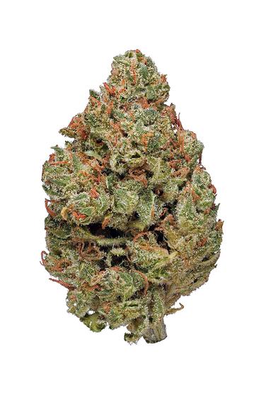 Sour Chelumbian - Hybrid Cannabis Strain